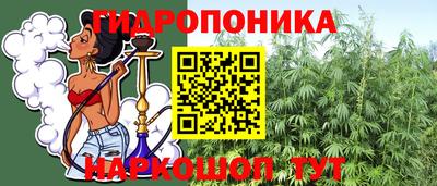 хмурый Шелехов